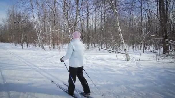 女性のクロスカントリー ・ スキー — ストック動画