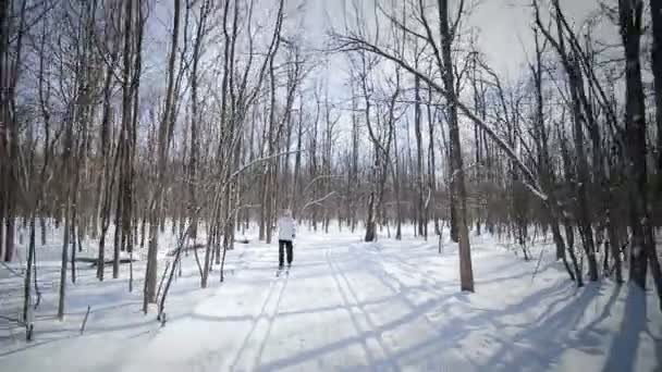 Woman Cross-Country Skiing — Stock Video