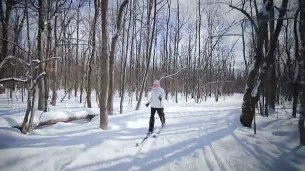 Woman Cross-Country Skiing — Stock Video