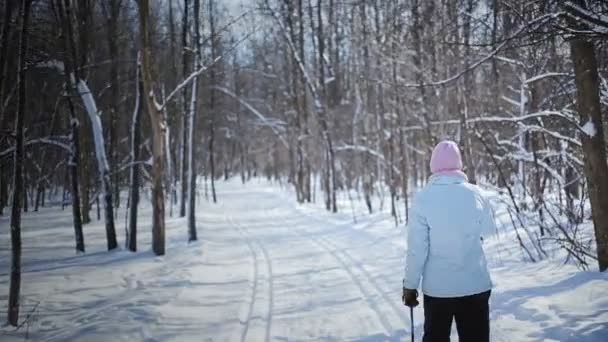 Woman Cross-Country Skiing — Stock Video