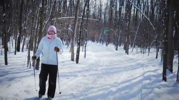 Катание на лыжах по пересеченной местности — стоковое видео