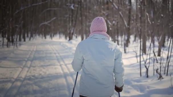 Mujer esquí de fondo — Vídeos de Stock