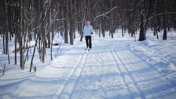 Катание на лыжах по пересеченной местности — стоковое видео