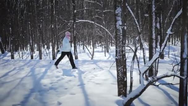 Mulher Esqui cross-country — Vídeo de Stock