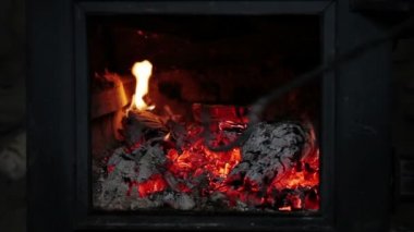 adam günlük woods bir şöminenin içine koyarak