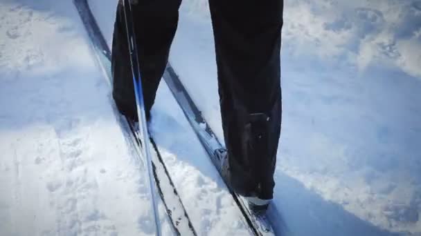 自然の中で単独で女性のクロスカントリー ・ スキー — ストック動画
