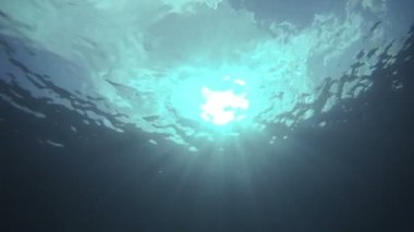 Okyanusun derinliklerinden gökyüzünün sualtı videosu.