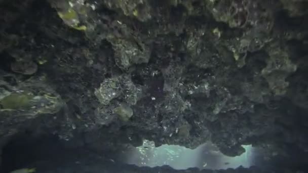 Exploración de Cuevas Submarinas en el Océano Tropical, San Andrés, Colombia — Vídeo de stock