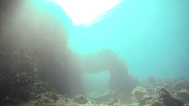 Exploration des grottes sous-marines dans l'océan tropical, San Andres, Colombie — Video