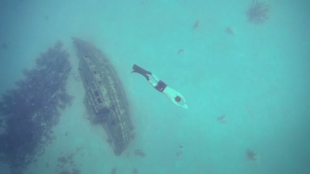 Freediver pływanie głęboko pod wodą — Wideo stockowe