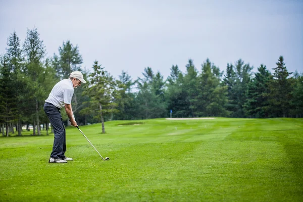 Golfista maduro em um campo de golfe — Fotografia de Stock