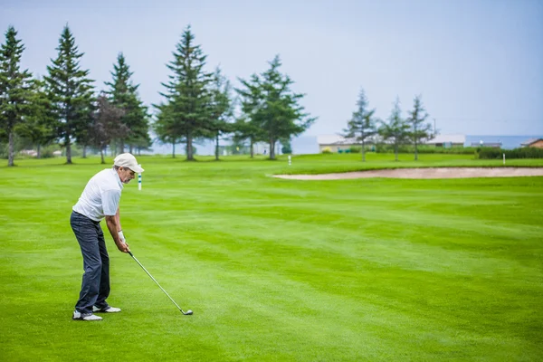 Volwassen golfer op een golfbaan — Stockfoto