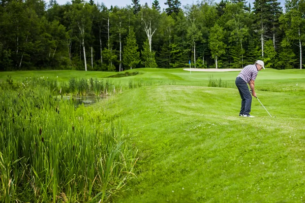 골프 코스에서 골프를 치는 성숙한 사람 — 스톡 사진