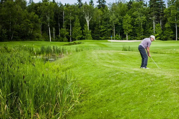 Golfista maturo su un campo da golf — Foto Stock