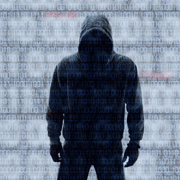 Hacker in Silhouette und Binärcodes — Stockfoto