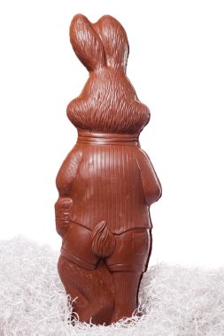 beyaz üzerine arkasında uzun boylu bir çikolata bunny