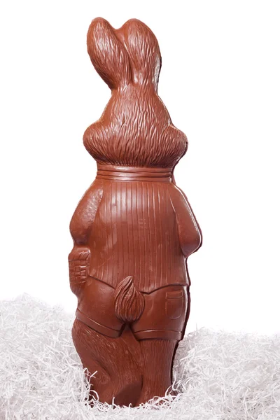 Back of a Tall chocolate bunny over white — Stock Photo, Image