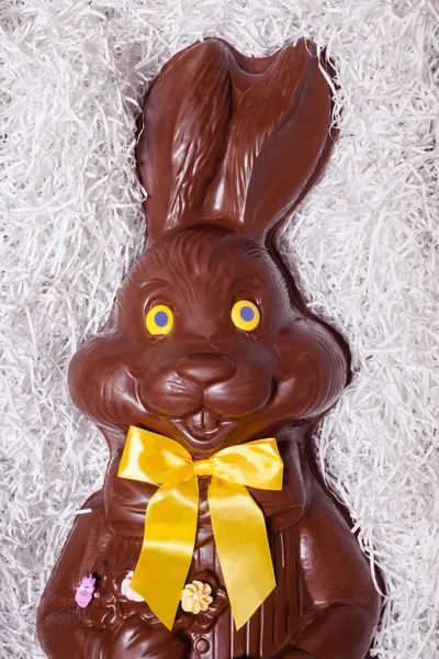 Détails d'un gros lapin en chocolat — Photo