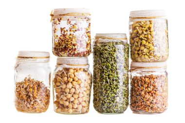 Stack of Different Sprouting Seeds Growing in a Glass Jar  clipart