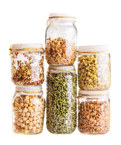 Pila de diferentes semillas que brotan que crecen en un frasco de vidrio — Foto de Stock