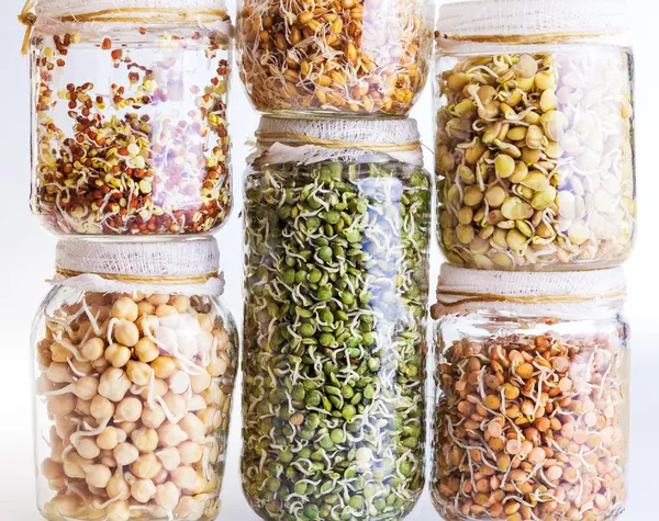 Pila de diferentes semillas que brotan que crecen en un frasco de vidrio —  Fotos de Stock