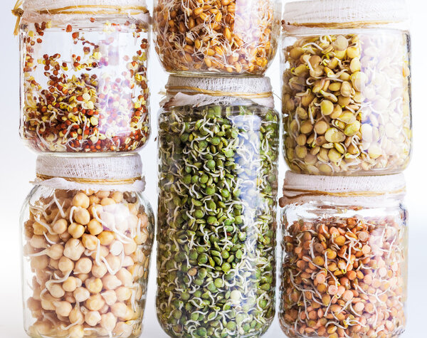 Stack of Different Sprouting Seeds Growing in a Glass Jar 