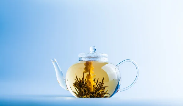 Flor de té en una tetera clara — Foto de Stock