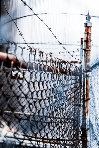 Barb Wire and Fence — Stock Photo, Image