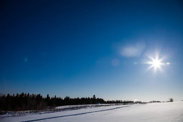 Landsbygdens vinterlandskap och solljus — Stockfoto