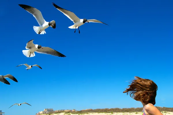 Jonge meisje op het strand voederen meeuwen Stockfoto