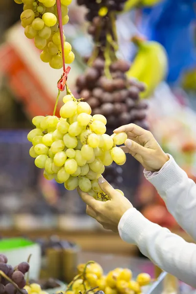 Vrouw koopt groenten en fruit op een markt — Stockfoto