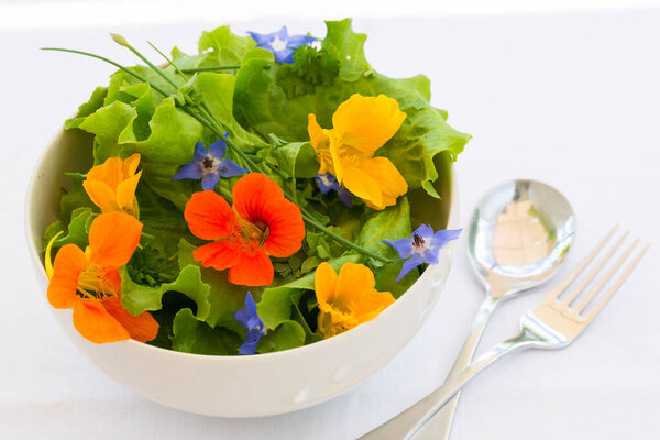 Лето свежий салат flowors в миске