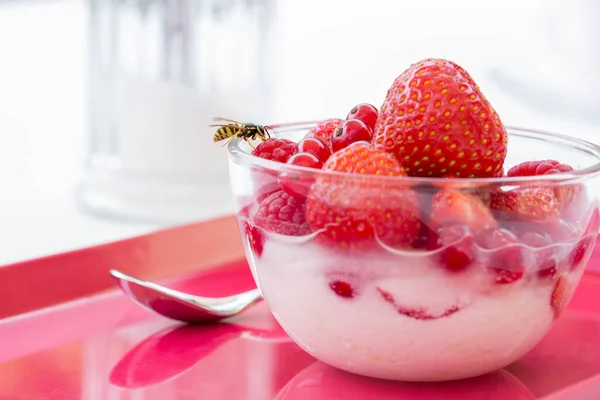 Wasp Red Fruits Bowl Glass — Stock Photo, Image