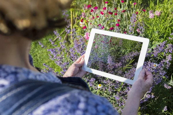 Maduro Feminino Digital Tablet Foto Flores — Fotografia de Stock