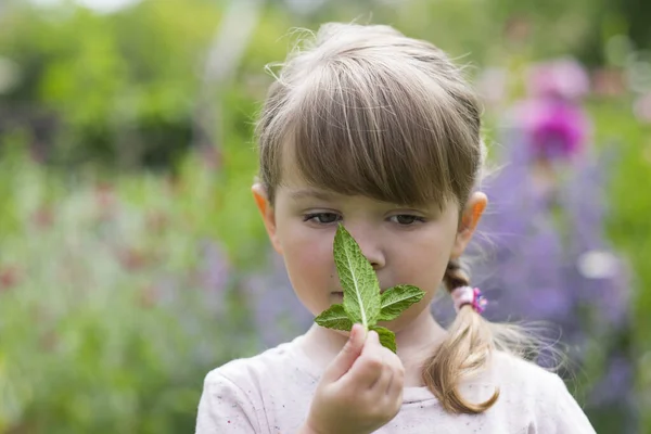 Pretty Female Child Outdoor Minthol Smelling Stockfoto