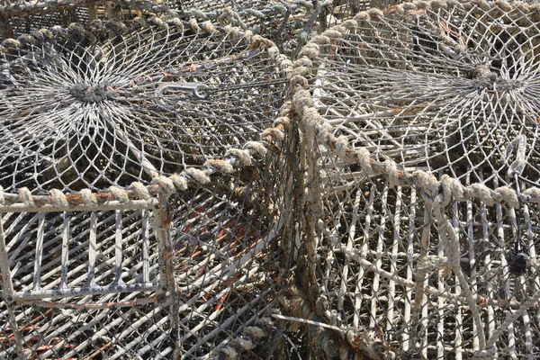 Krabba krukor på brighton marina. England — Stockfoto