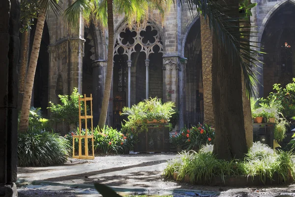 Courtyard of cathedral. Barcelona. Spain — Stock Photo, Image