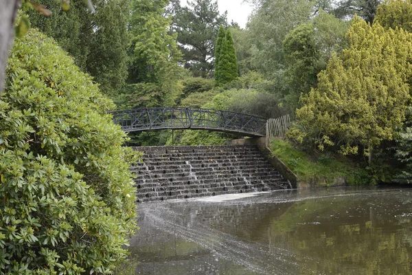 滝と英語の国の庭の橋 — ストック写真