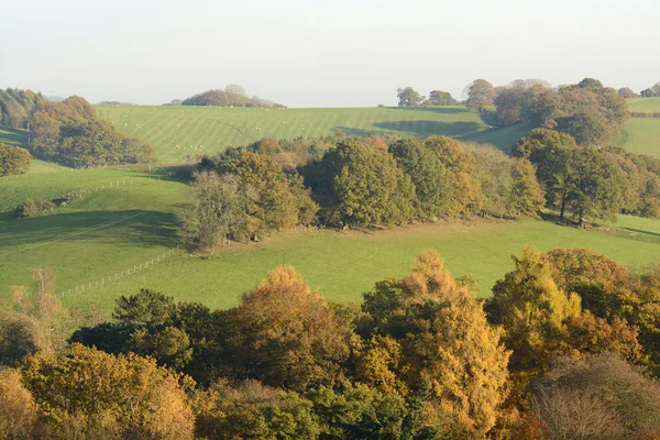 Осенние цвета в Суррей Хиллс. Англия — стоковое фото