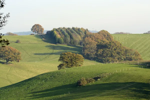 Cores de outono em Surrey Hills. Inglaterra — Fotografia de Stock