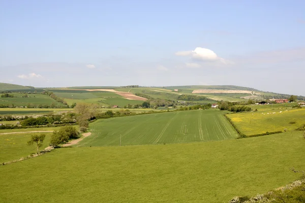 Adur dalen på shoreham. England — Stockfoto