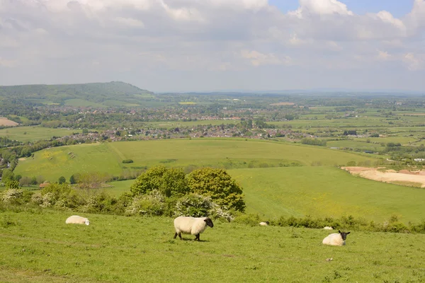 Landsbygden i steyning. Sussex. England — Stockfoto