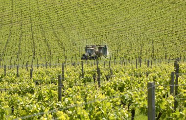 Traktör püskürtme bağ. Surrey. İngiltere