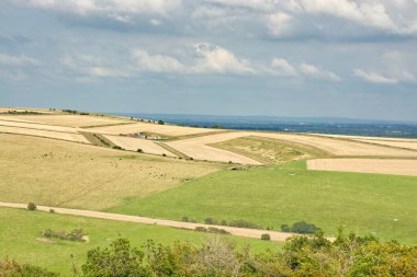 İngiltere, West Sussex 'te Worthing yakınlarındaki Güney Tepeleri' nde. Yazın sonunda olgunlaşan karışık mahsul tarlalarıyla. Mesafeli Weald.