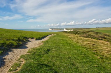 Doğu Sussex, İngiltere 'de Eastbourne yakınlarındaki Beachy Head' in güney çıkışında. Seven Sisters tebeşir kayalıkları kadar uzakta.