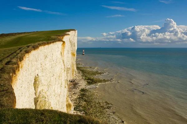 Doğu Sussex, İngiltere 'de Eastbourne yakınlarındaki South Downs' da Beachy Head 'de deniz feneri olan tebeşir uçurumları.
