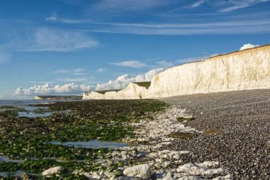 İngiltere 'nin Doğu Sussex kenti Eastbourne yakınlarındaki Birling Gap' teki Seven Sisters beyaz tebeşir kayalıkları. Kaya havuzlarını ve kiremitleri gösteren alçak gelgit.
