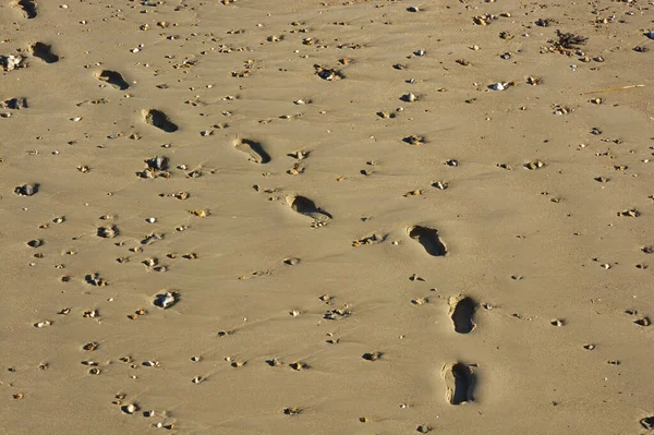 Jednotlivá Sada Lidských Stop Pláži Měkkého Písku Malými Kameny Littlehampton — Stock fotografie