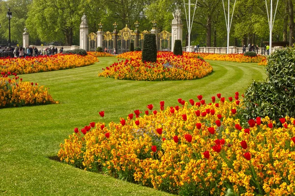 バッキンガム宮殿の門の外のチューリップや他の花の正式な花壇は 背景に緑の公園に 誰も知らない — ストック写真