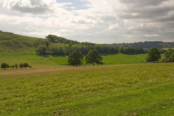 Vidék Cissbury Ring Ősi Hegyi Erőd Közelében Findon Worthing West — Stock Fotó